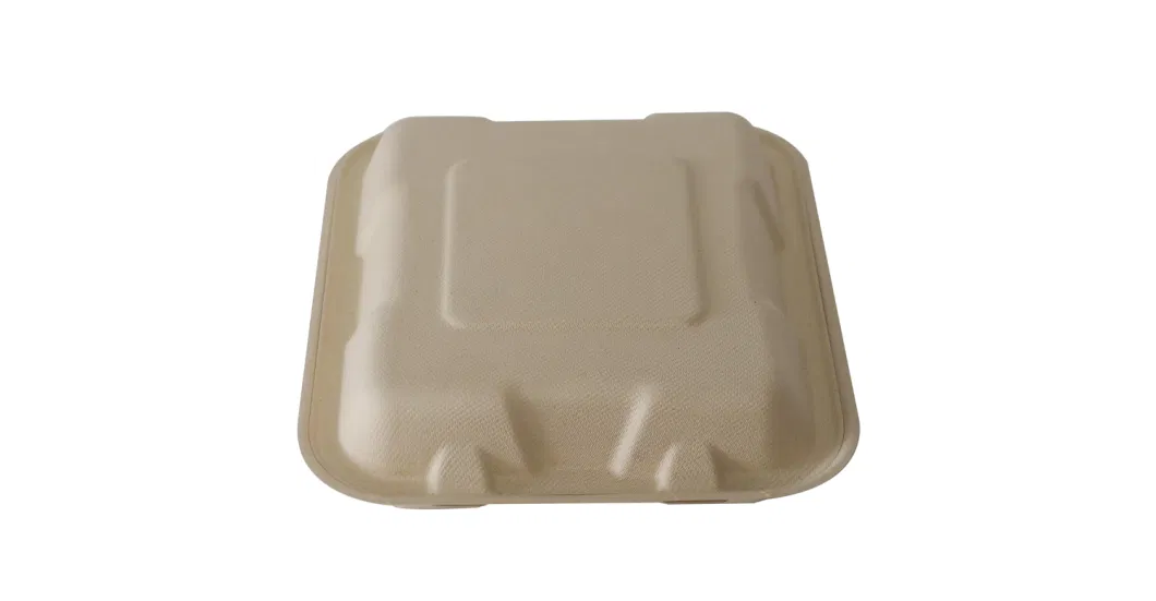 Disposable Tableware Food Packaging Bio-Degradable Sugarcane Bagasse Biodegradable 100% Compost Container