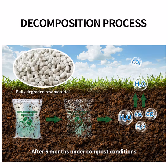 Biodegradable Compostable Eco-Friendly Disposable PLA Drinking Straws