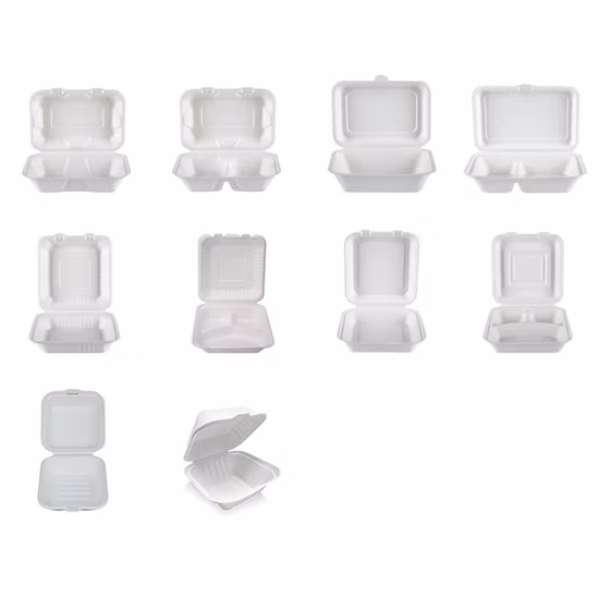 Envase biodegradable para envasado de alimentos Envase de caña de azúcar